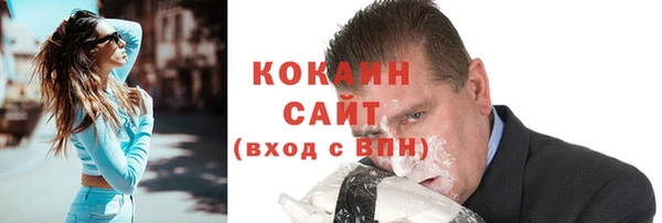 мет Елизово