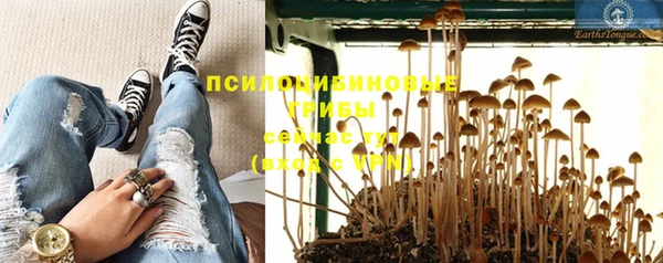 мет Елизово