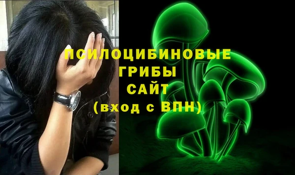 мет Елизово