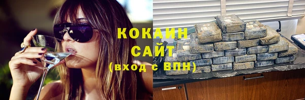 мет Елизово