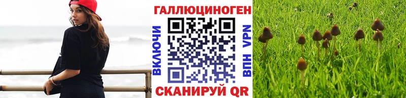 Галлюциногенные грибы MAGIC MUSHROOMS  Копейск 